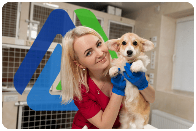 Veterinarian holding a corgi puppy, showcasing pet care services and business loan solutions for veterinary practices.